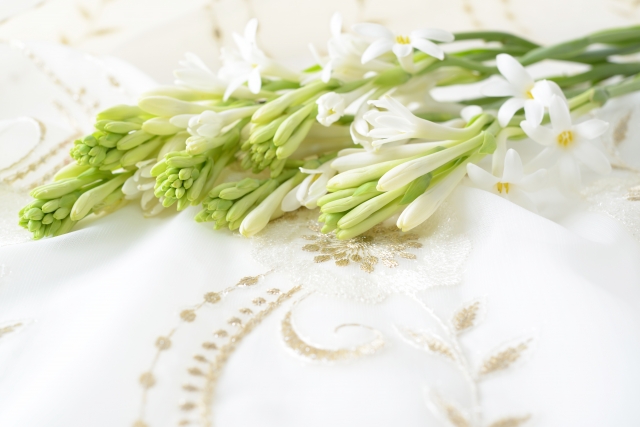 1月29日の誕生日花